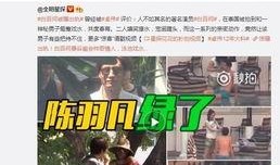 二狗爆料谢航视频播放下载,谢航视频播放下载背后的真相揭秘